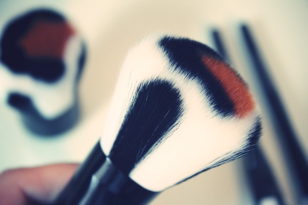 japonesque brushes safari collection