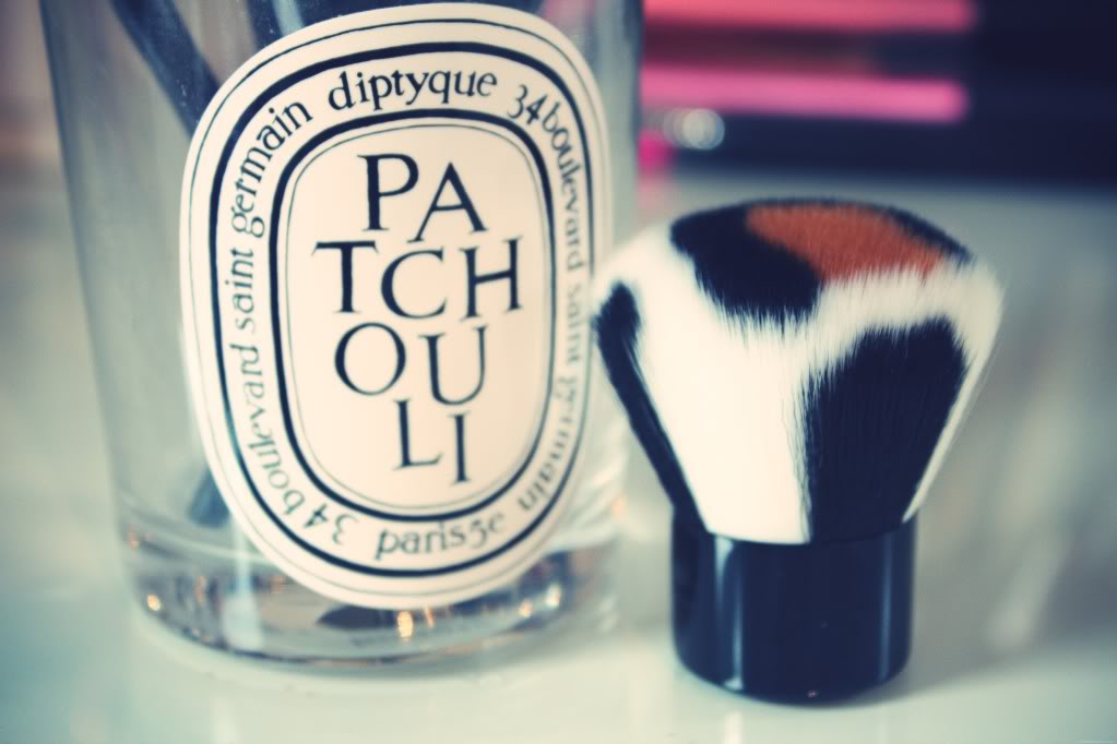 japonesque brushes safari collection