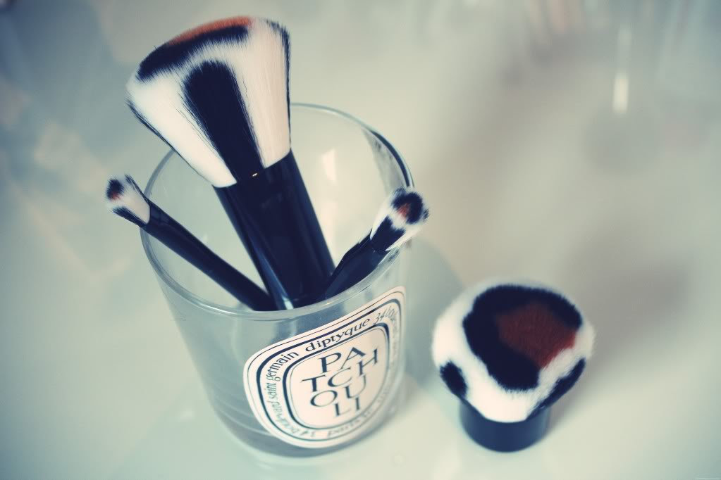 japonesque brushes safari collection